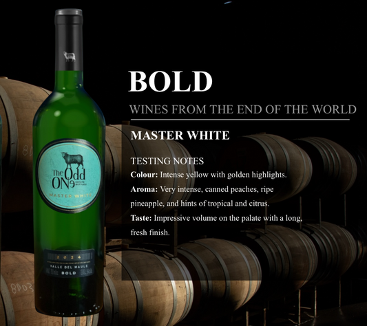 Vino ODD One 750 cc Master White Via Wines