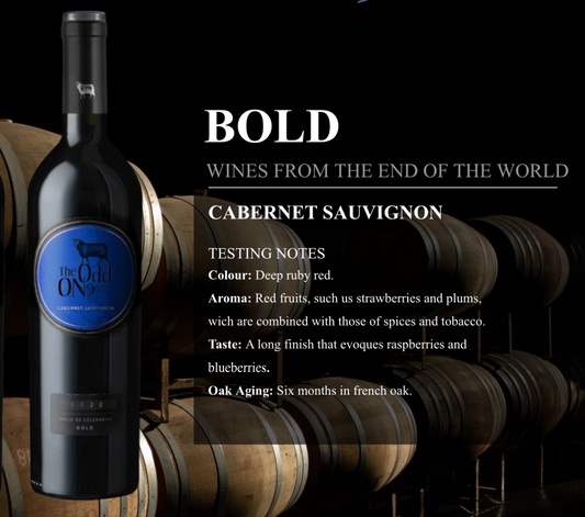 Vino ODD One 750 cc Cabernet Sauvignon Via Wines